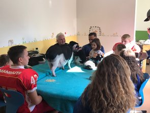 alternativer Text, der das Bild beschreibt