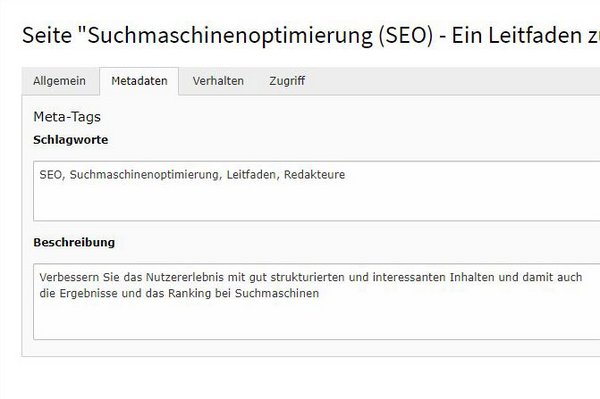 Seiteneigenschaften Metatags